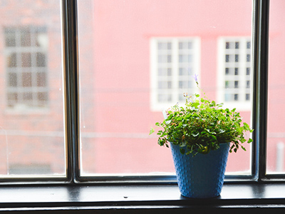 手机号测压在线平台